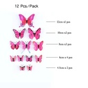 Size 3D Butterfly