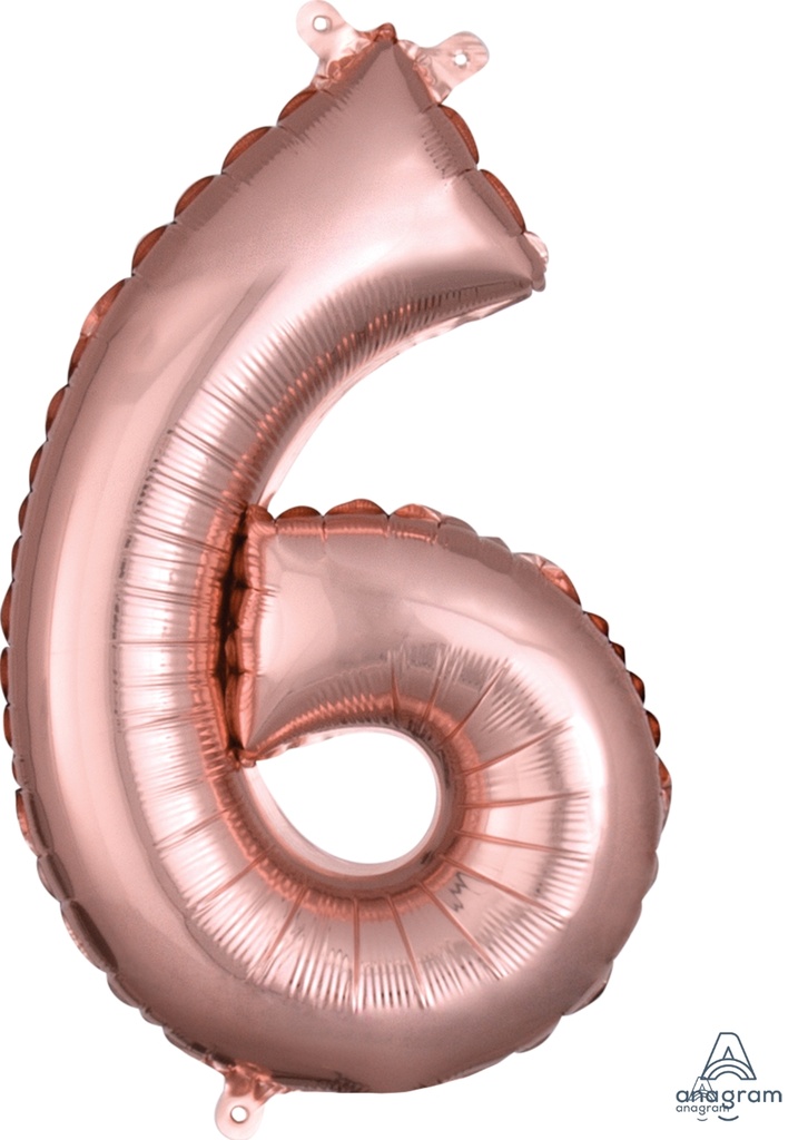 16" Number 6 Rose Gold Anagram