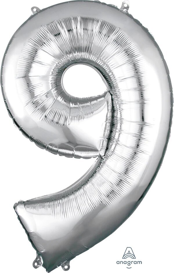 16" Number 9 Silver Anagram