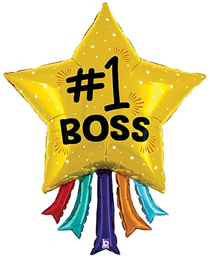 [030625251419] 43" 1 Boss Star