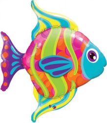 [16448] 43" Fashionable Fish