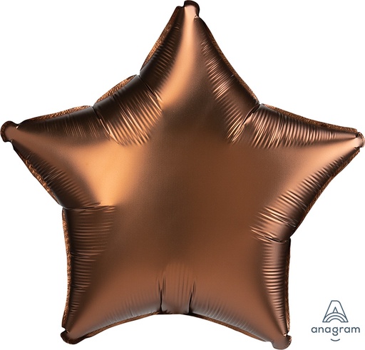 [41939] 18" Satin Luxe Cocoa Star