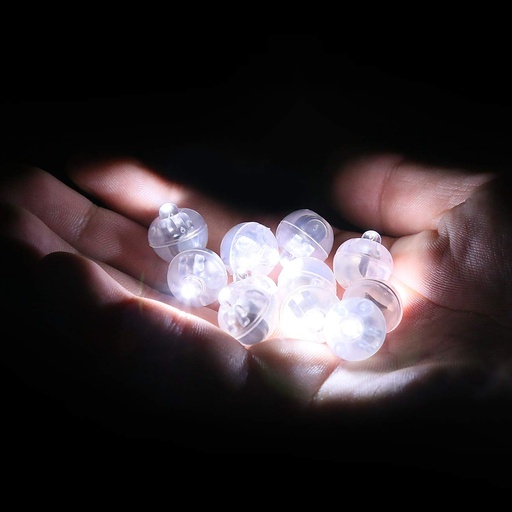 LED Lights Balloon Balls 20 pcs