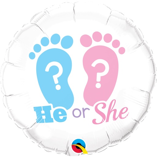 [17079P6] 18" Baby He or Baby She?